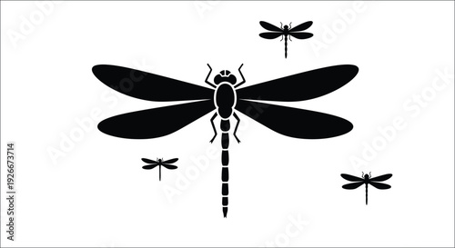 Black dragonfly illustrations with minimal detail presented as a silhouette