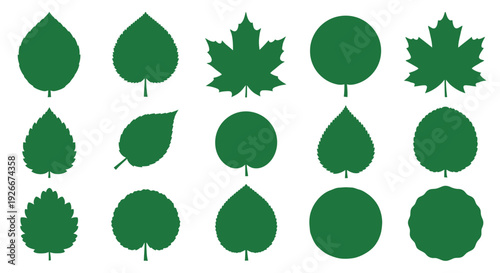 Collection of various green leaf shapes in a grid silhouette