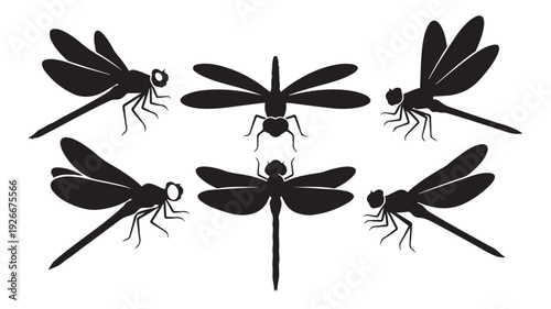Dragonfly icon set