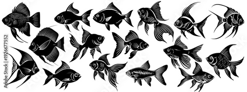 ryby, fishes, zestaw wektor sylwetka