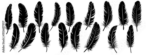 zestaw piór plik wektorowy