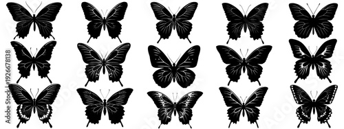 butterflies vector set, zestaw wektorowych motyli
