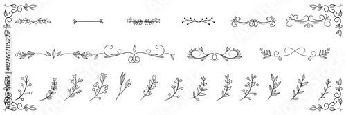 Elegant hand drawn floral dividers and decorative border elements, vintage vector set.