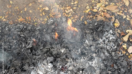 Burning Leaves and Ashes in Outdoor Environment During Autumn Season with Smoke and Fallen Leaves Surrounding the Fire Area