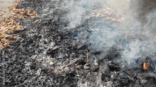 Ashes and Smoke from Forest Fire on Ground with Charred Leaves and Twigs Near Tree Trunk in Autumn Season