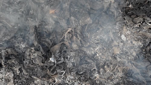 Abstract close-up of textured natural material with shadows and smoke highlighting intricate patterns and muted tones