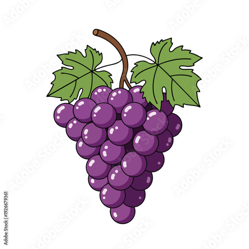 Fresh Cluster of Juicy Grapes with Green Leaves for Healthy Snacking and Nutrition