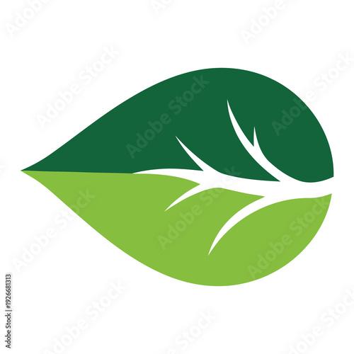 Green leaf logo with white veins on white background icon