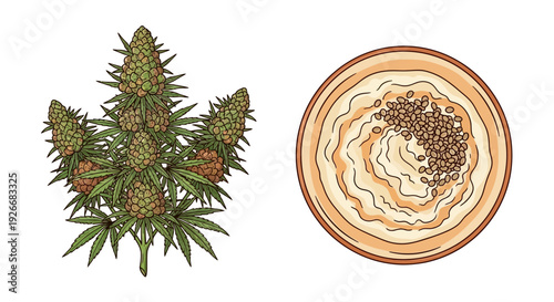 Cannabis plant and tahini paste with sesame seeds illustration
