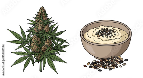 Cannabis flower and hemp seeds presented in a colorful illustration