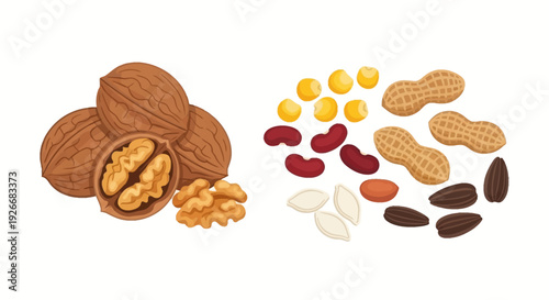 A colorful assortment of nuts seeds and legumes on a white background