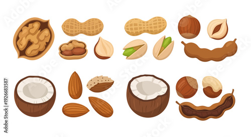 A colorful assortment of various nuts and seeds in cartoon style