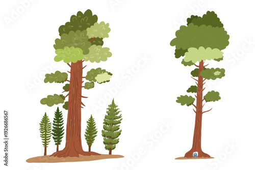Giant sequoia tree in childlike hand drawn style
