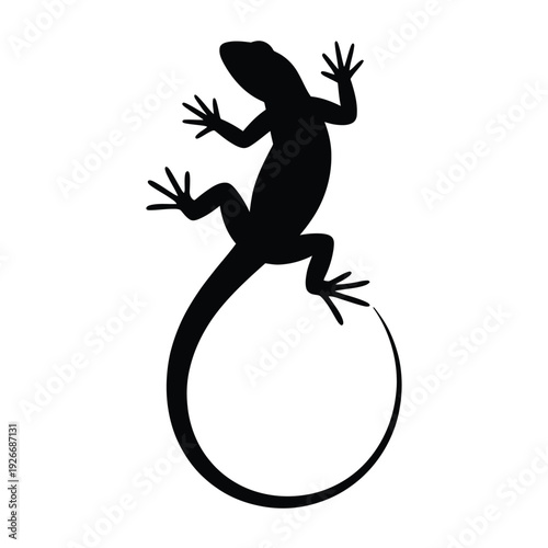 Silhouette of a lizard clinging to a curved surface black and white