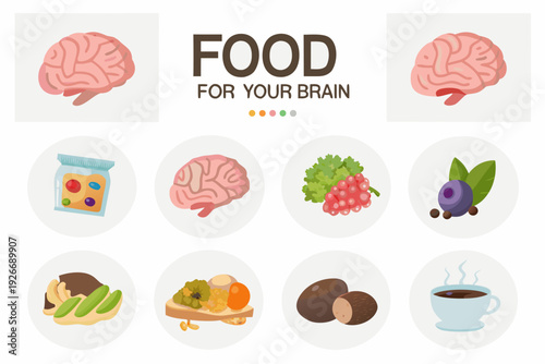 Brain food illustrations healthy foods promoting cognitive function and well being