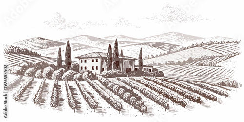 A picturesque italian countryside scene with a villa and vineyard