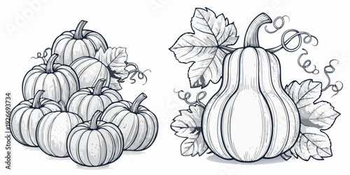 Vintage illustration of stacked pumpkins and gourds with leafy vines