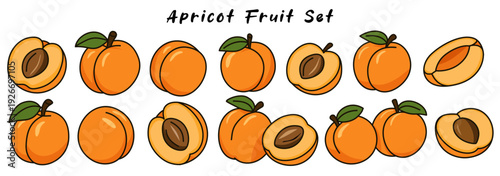 Delight in this vibrant apricot fruit set showcasing various stages of apricot, from whole to halved, each piece bursting with color and freshness