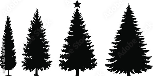 Detailed pine tree silhouette set with star topper, evergreen fir and spruce forest elements, Christmas holiday symbols, flat vector flavector, isolated botanical collection.