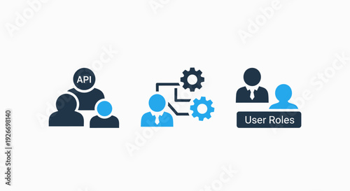 User Management Icons: API Access, Workflow Settings, and User Roles for System Administration