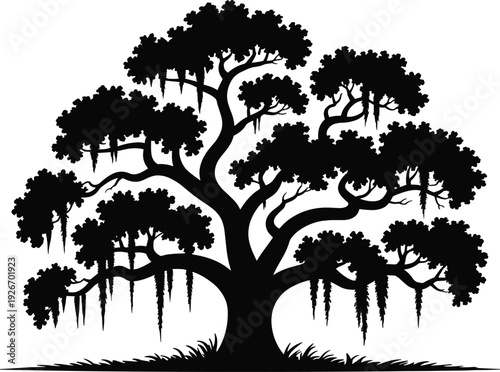 Large oak tree silhouette with hanging moss, spreading branches and leafy canopy, old nature forest plant, flat vector flavector, isolated.