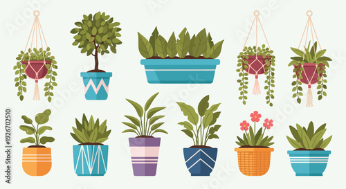 Assortment of potted houseplants in various containers and hanging planters, showcasing diverse foliage and small flowers.