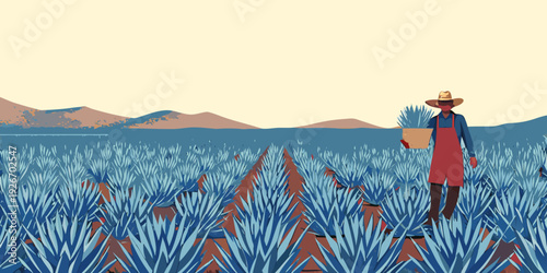 A person with a hat tending to a field of blue agave plants
