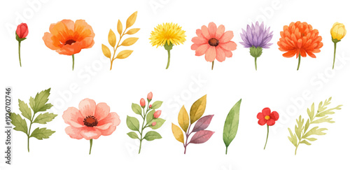 A charming watercolor collection of wildflower botanicals, featuring poppies, daisies, dandelions, leafy sprigs, delicate buds, and soft pastel blooms