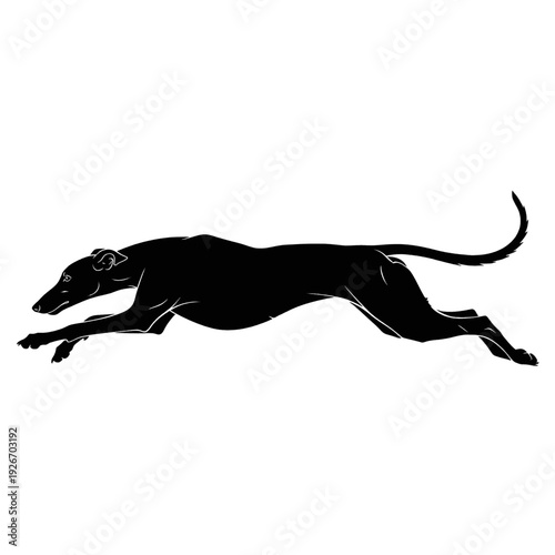 Black Silhouette of Running Greyhound Dog.