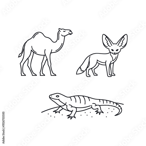 Camel Fennec Fox Lizard Line Art Animals.