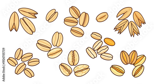 Illustration of various oat grains scattered across a white background