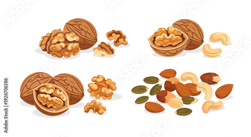 Assorted nuts and seeds displayed in varying stages of shell opening