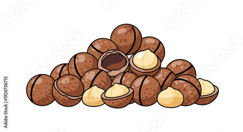 Pile of macadamia nuts some cracked open on a white background