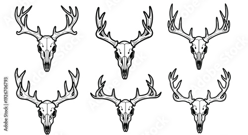 Detailed Black  White Line Art Deer Skull with Antlers - Hunting  Wildlife Design
