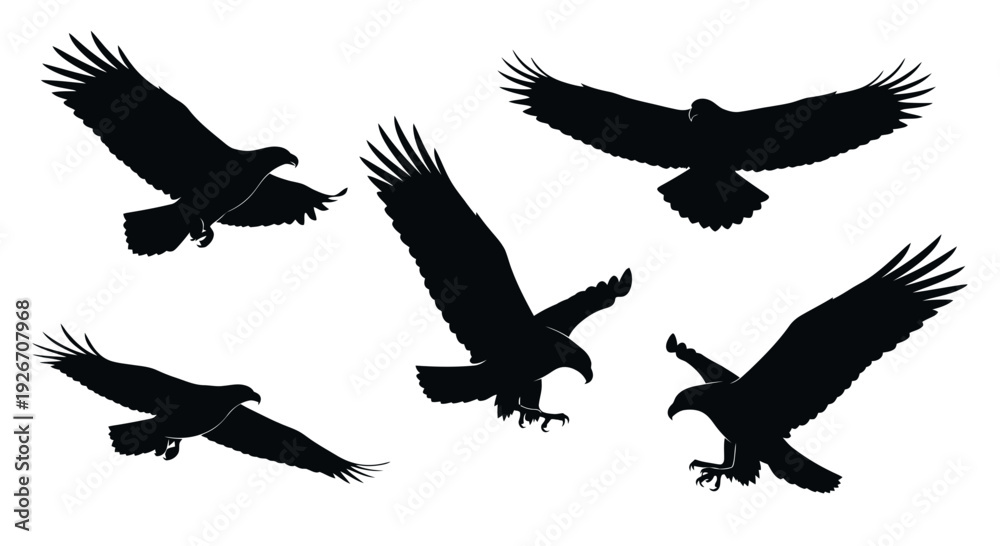 Fototapeta premium Wildlife Nature Flying Eagles Birds of Prey Silhouette Vector Graphic Set