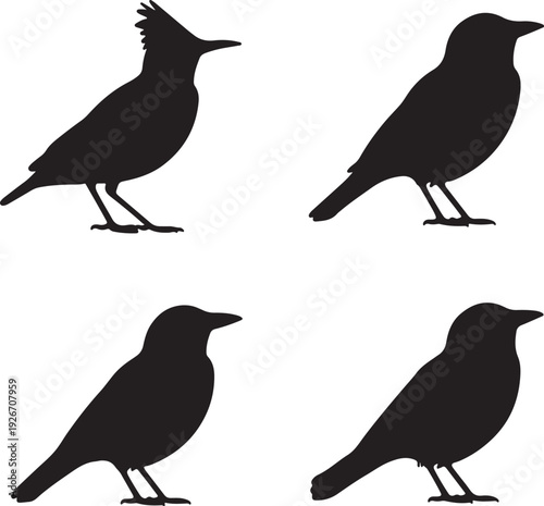 set of silhouettes of birds