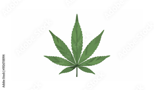Detailed Cannabis Leaf Botanical Vector Isolated on White Background