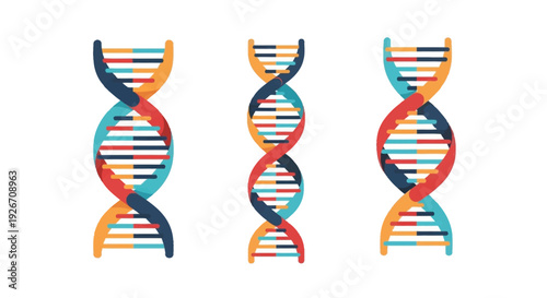 Three colorful dna double helix illustrations against a white background