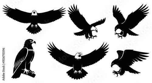 Wildlife  Nature: Dynamic Black  White Eagle Silhouette Vector Art Collection