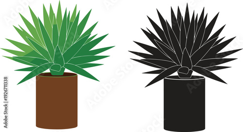 Potted agave or aloe succulent plant in modern container, green and black silhouette versions, decorative houseplant vector illustration isolated on white background.