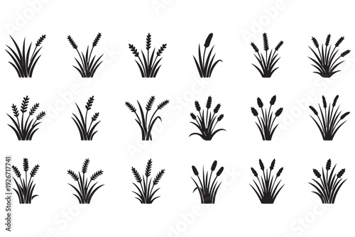 Reed and Cattail Grass Silhouettes - Marsh Plant Vector Icon Set for Nature Design