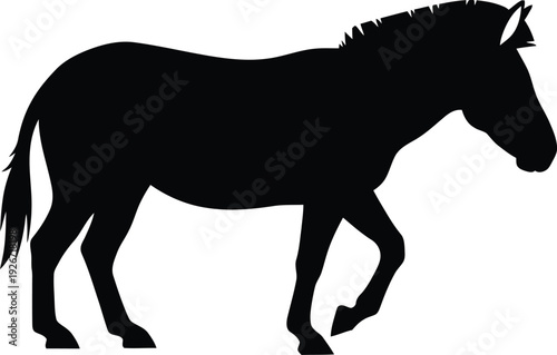 Black horse silhouette vector illustration