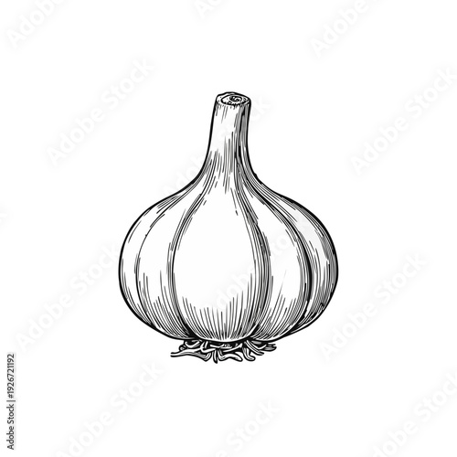 Garlic