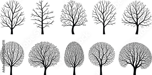 Set of black tree silhouettes without leaves, diverse winter branch shapes and bare plant icons isolated on white background vector.