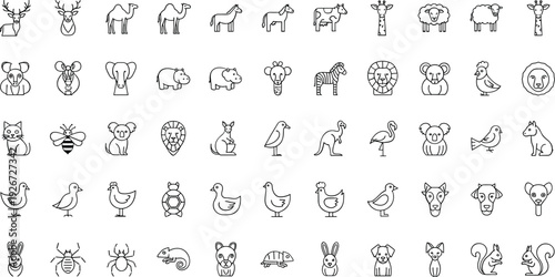 Wild and Farm Animal Line Icons Set with Mammals Birds Insects and Safari Wildlife Vector Collection