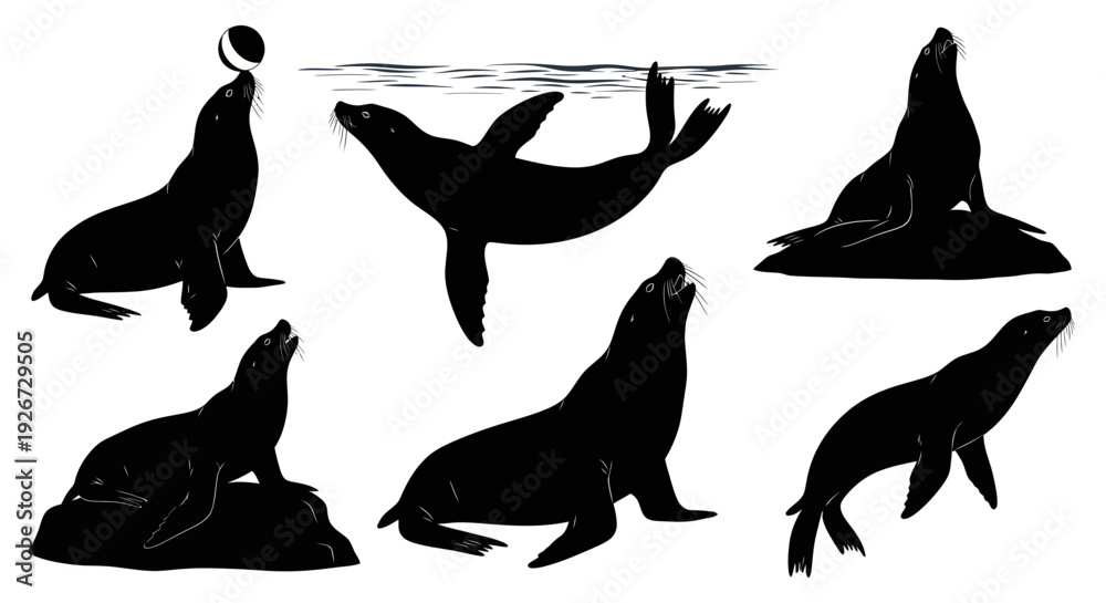 Obraz premium Seal Silhouettes Collection: Various Poses and Actions