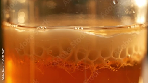 Warm and inviting, this image highlights a frothy amber beverage being poured, perfect for cozy moments or refreshing drinks promotions.