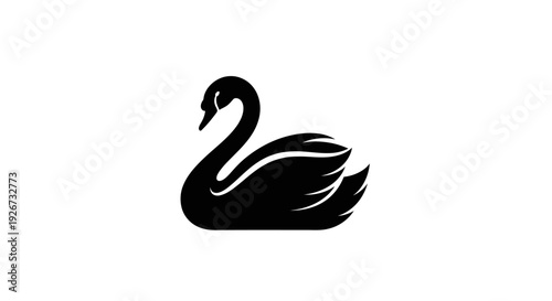Elegant Black Swan Swimming Calmly with Subtle Feather Details, isolated white background