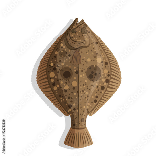 Flatfish Seafood Illustration