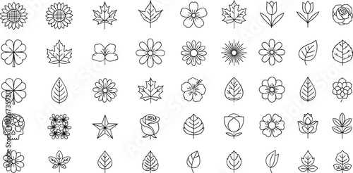 Floral and Leaf Line Icons Set with Flowers Botanical Elements Nature and Garden Vector Collection